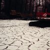 Die Anfänge